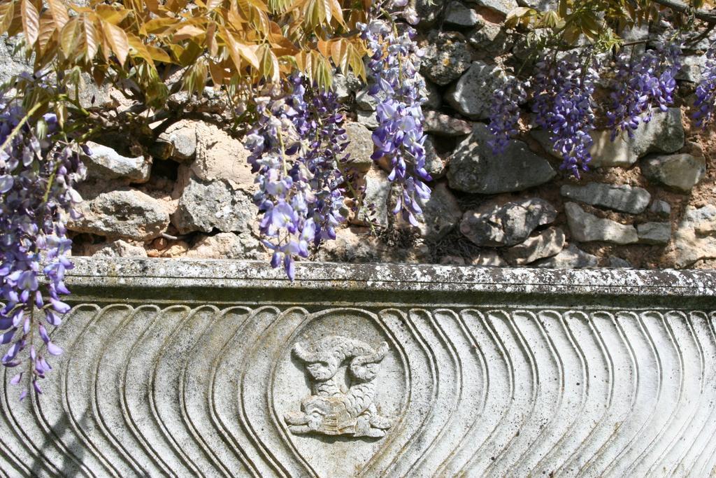 Domaine De La Blaque - B&B Varages Pokoj fotografie