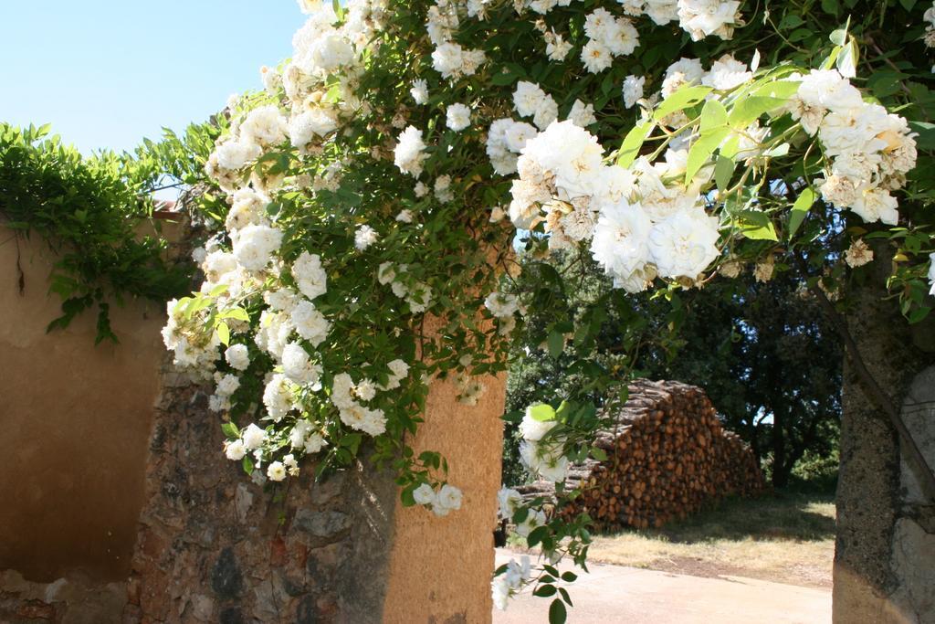Domaine De La Blaque - B&B Varages Exteriér fotografie