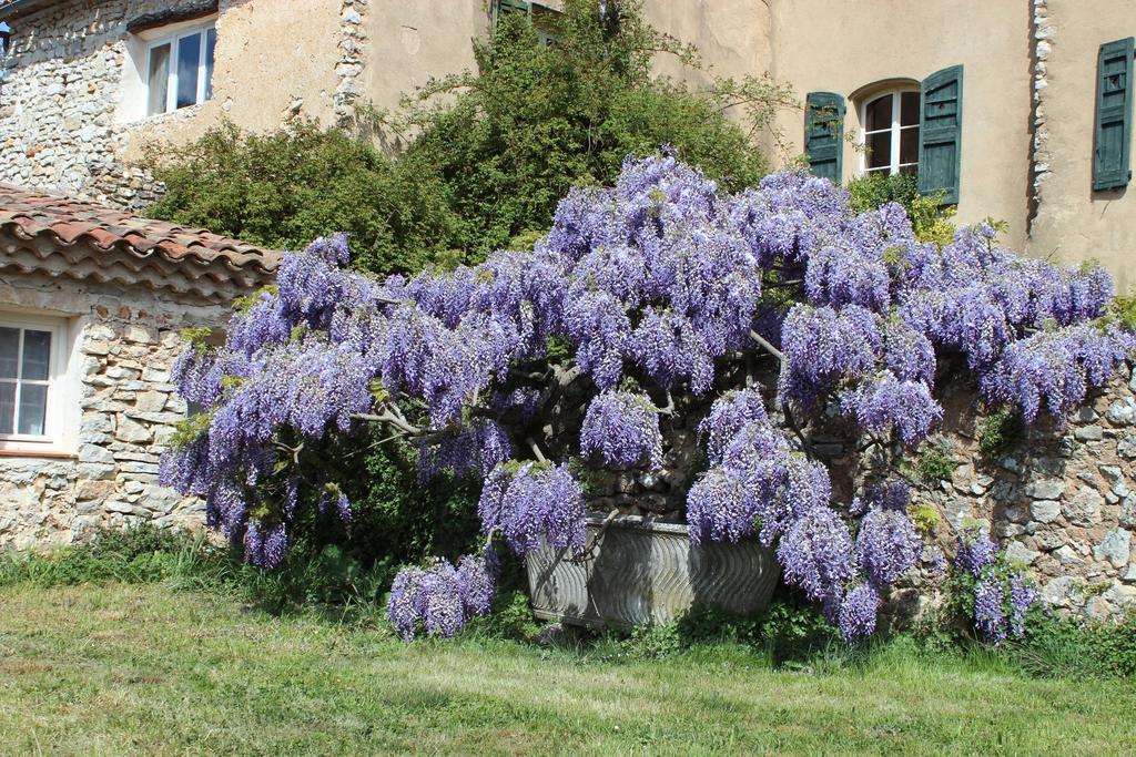 Domaine De La Blaque - B&B Varages Exteriér fotografie